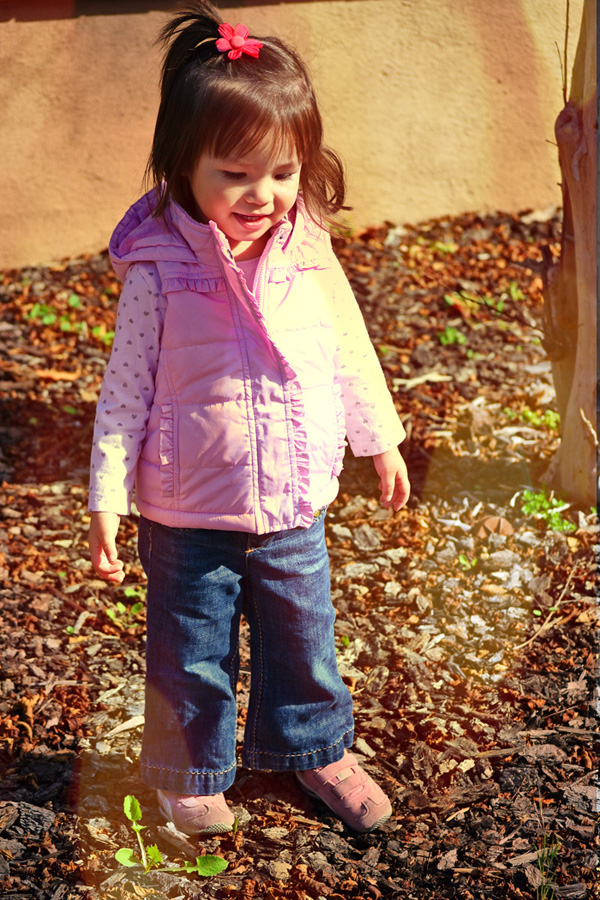 Leaves Leaves